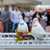 Hochzeitsfotografie Christin und Mike _32